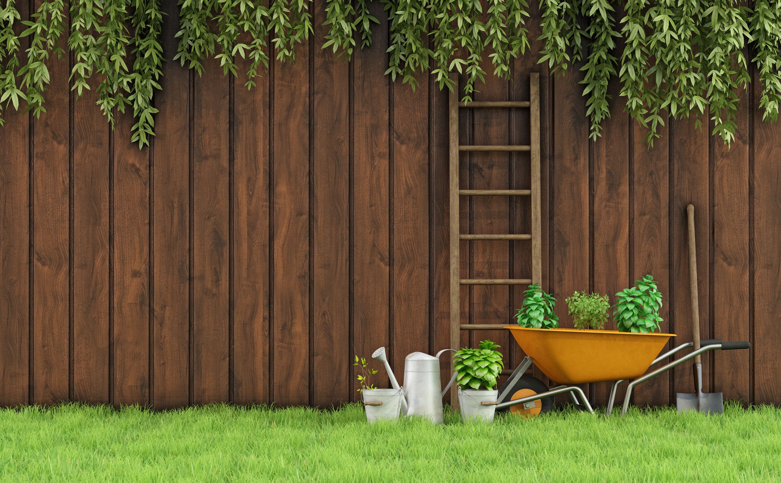 prix clôture bois composite, jardin avec une palissade en bois pour faire office de clôture