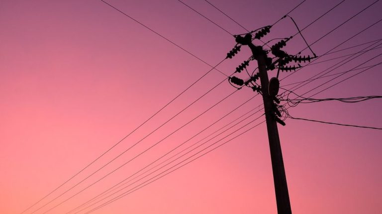 viabilisation terrain