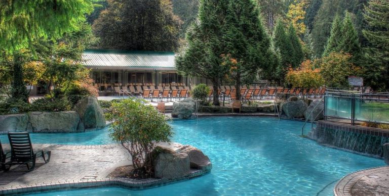 piscine naturelle