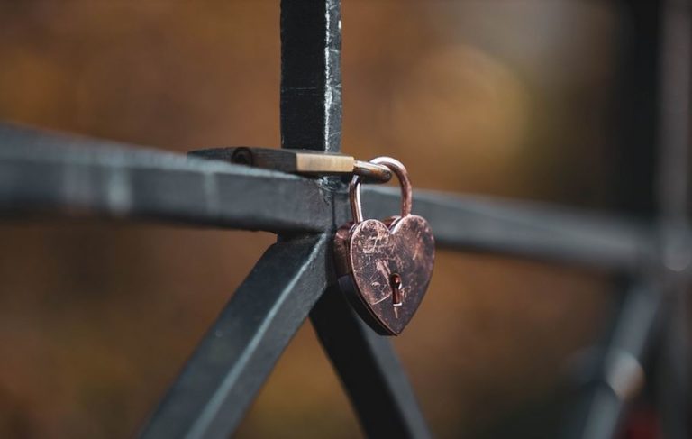 prix clôture aluminium