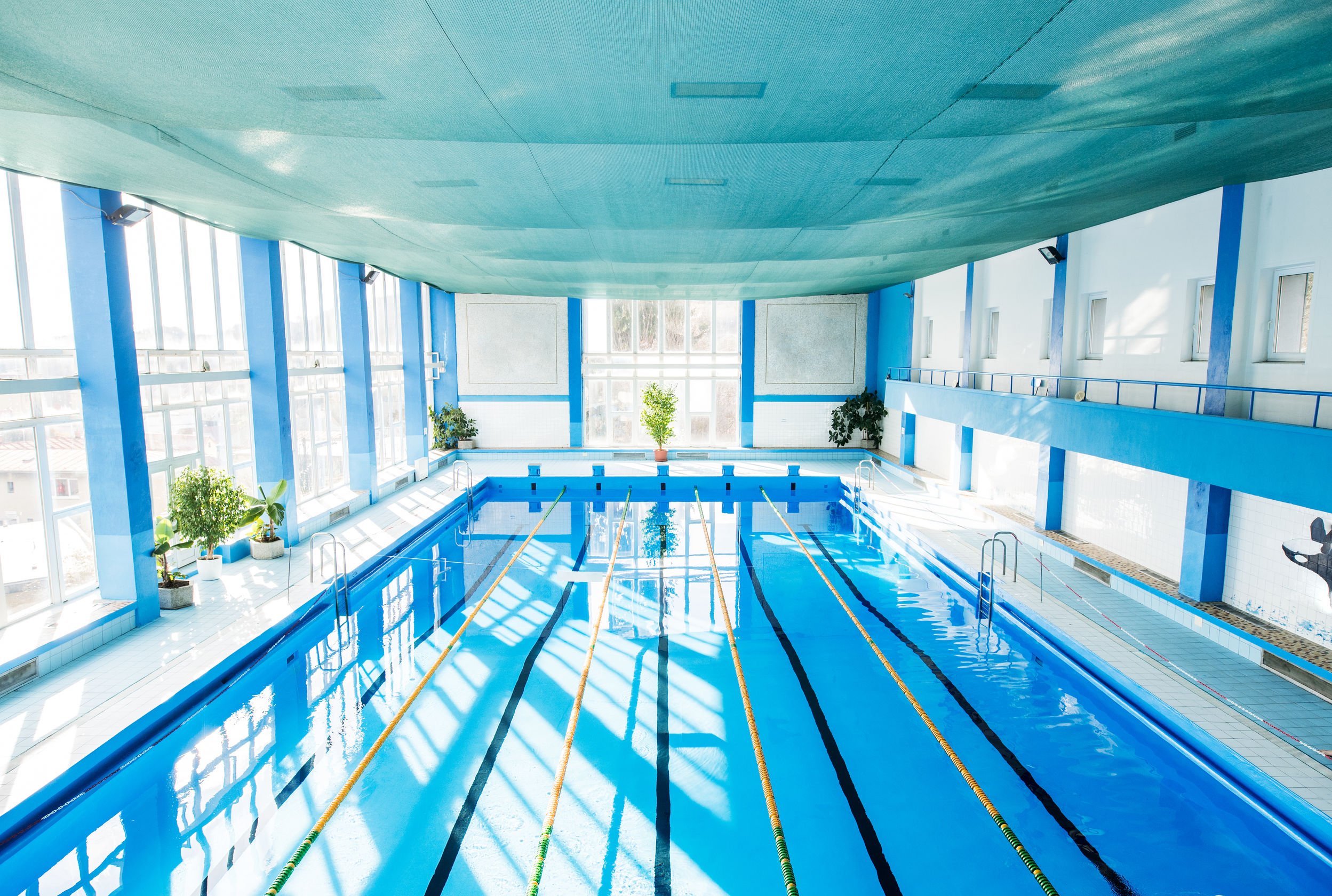piscine intérieure aux dimensions olympiques