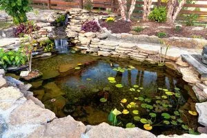 prix bassin de jardin