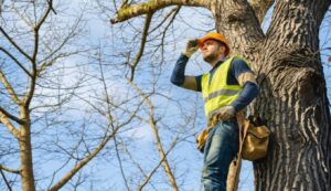 Landscape image placeholder